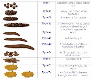What is the Bristol stool scale?